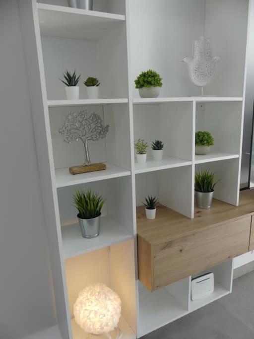 Apartamento 19 Piso Centrico, Nuevo Y Bien Equipado En La Trinidad La Laguna  Exterior foto